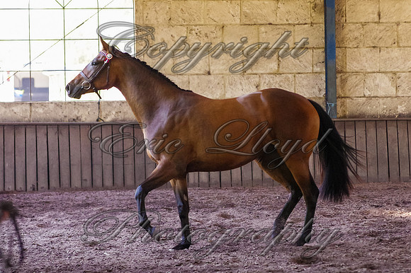 Brookleigh-0129