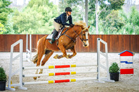 IMGP1336