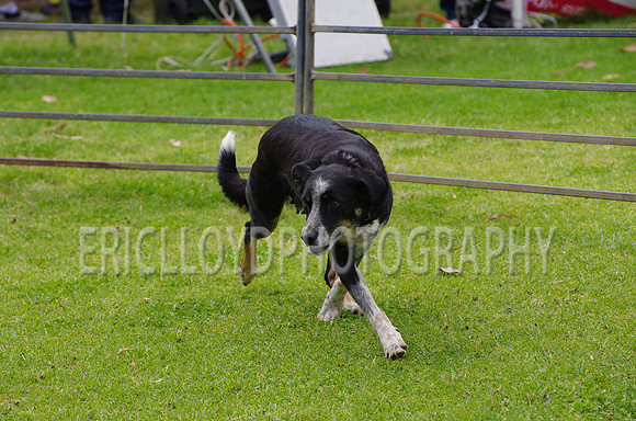 Jess-4074