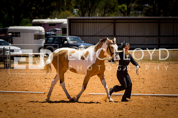 untitled-0237