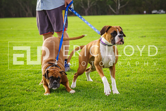 ELP_0560