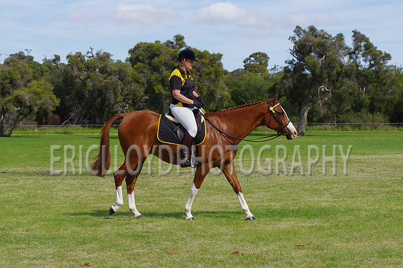 ARCA WH 2014-6575