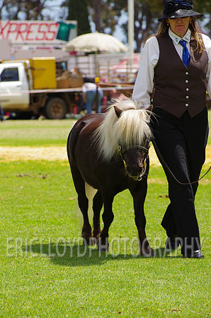 Jess-3811