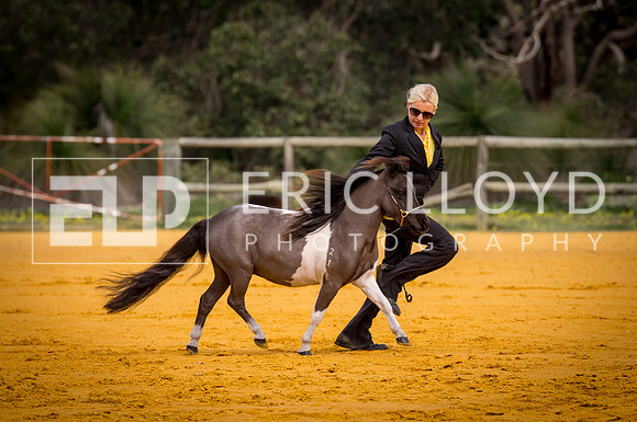 untitled-0660
