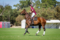IMGP3783