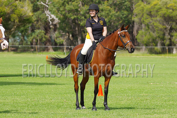 ARCA WH 2014-6617