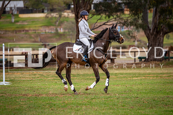 IMGP9399