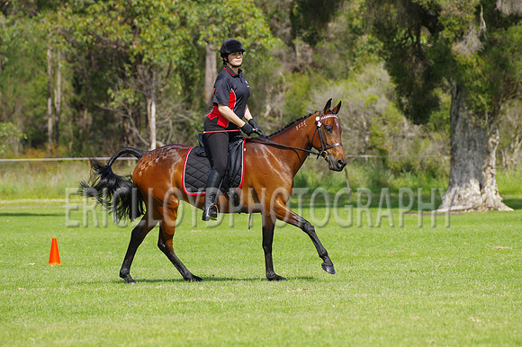 ARCA WH 2014-6612