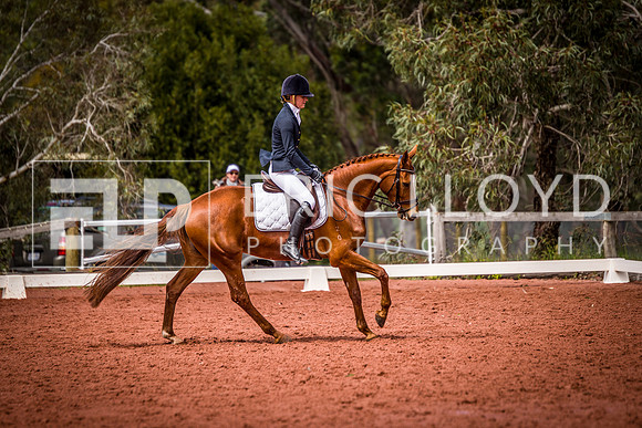 untitled-0984
