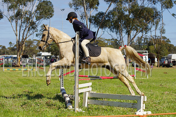 Bev Ag 2014-5159