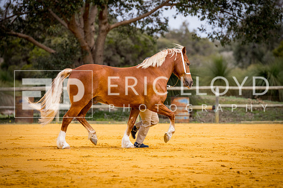 untitled-0679