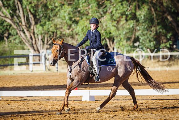 IMGP0234