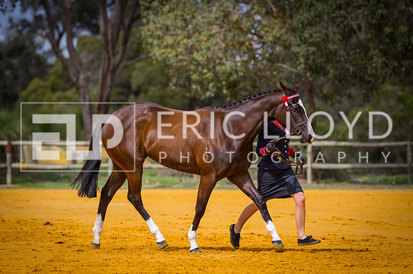 untitled-0457-2