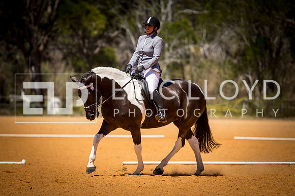untitled-0568