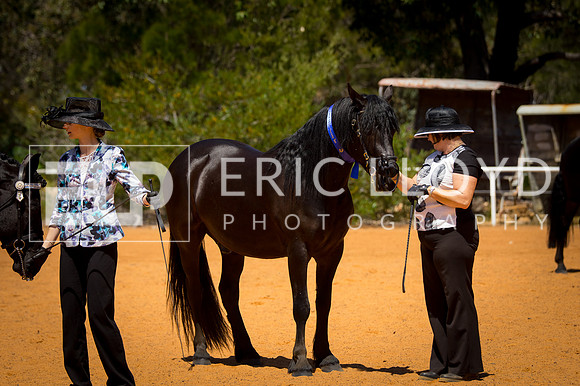 untitled-9597