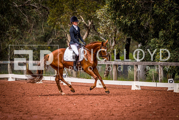 untitled-0986