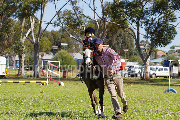 Bev Ag 2014-5177