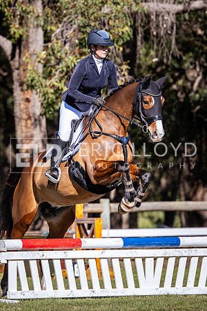 IMGP1284-2