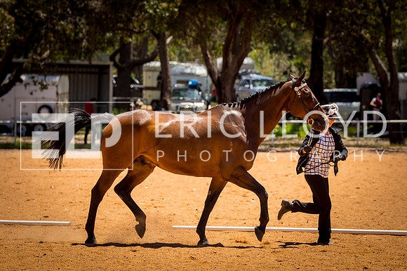 untitled-0305