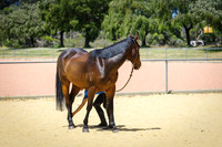 IMGP3724