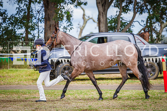 IMGP9235