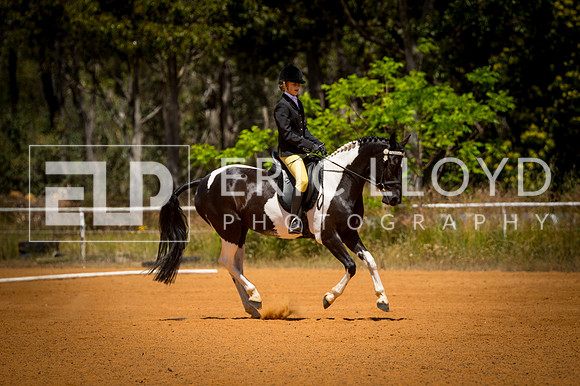 untitled-0435