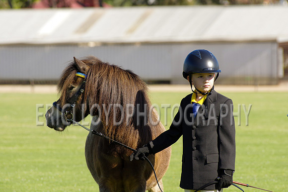 Beverley20 09 14-7995