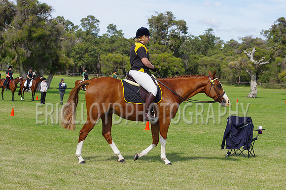 ARCA WH 2014-6569