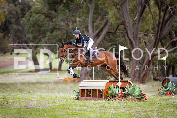 IMGP4690