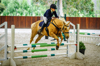 31A-B Open 70cm Optimum Time AM7 (238.5.2-245.3) (PCWA & EWA Members Only)