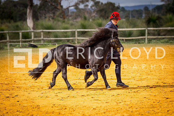 untitled-0728