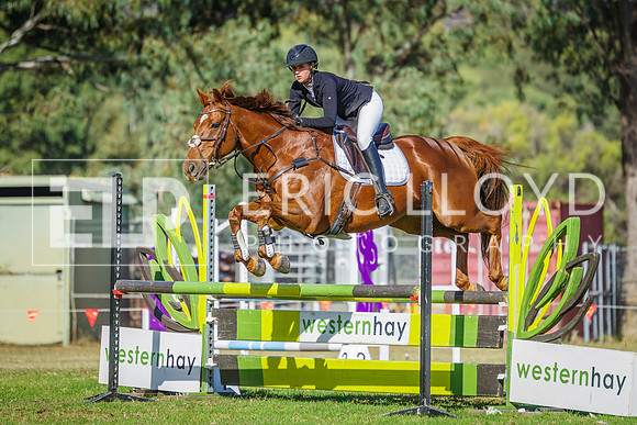 IMGP8765