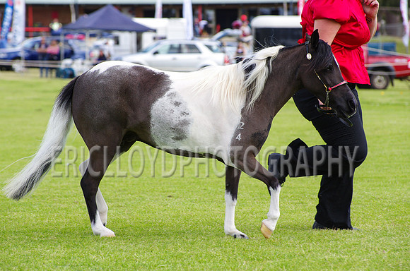 Jess-4494