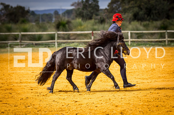untitled-0732