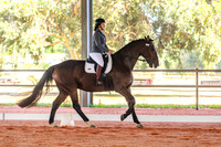 IMGP3037