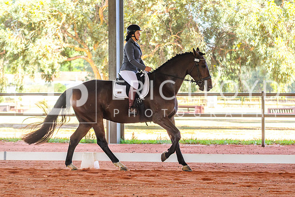 IMGP3037