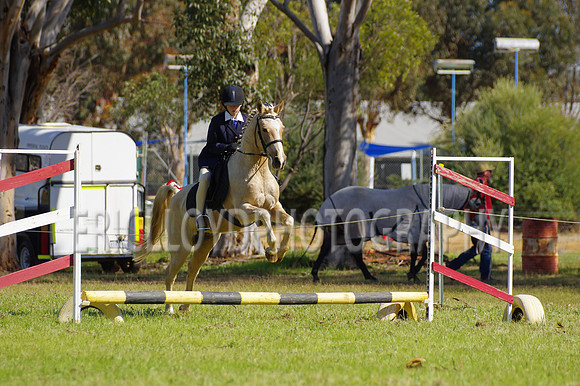 Bev Ag 2014-5156