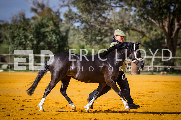 untitled-9606