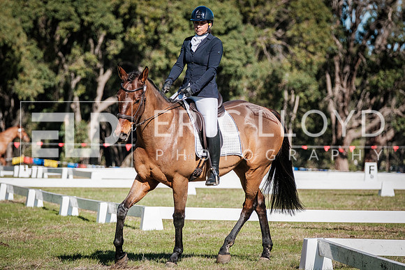 DSCF1671