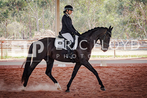 IMGP4190