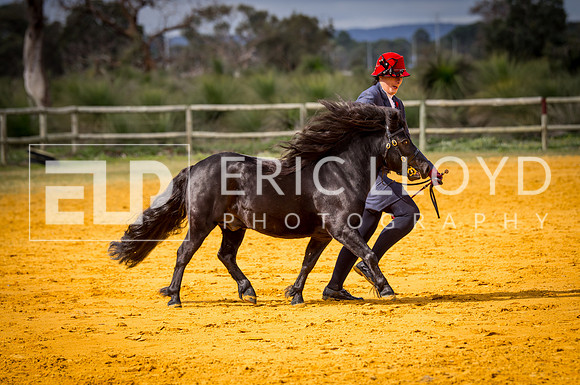 untitled-0729