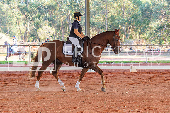 IMGP2798