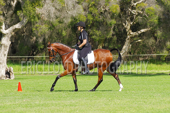 ARCA WH 2014-6566