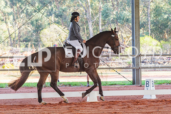 IMGP2784