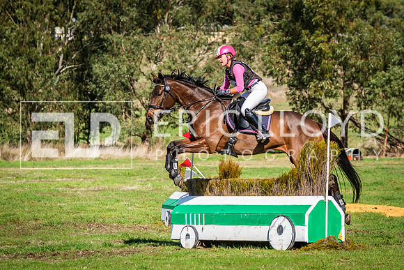 DSCF1817