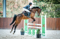 14B. Icon Stables 1.10m for horses 6 years of age & Presentations