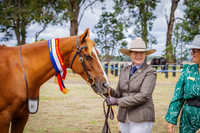 Champion & Reserve Gelding