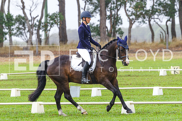IMGP1029