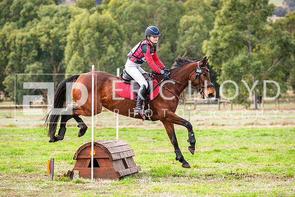 DSCF1490