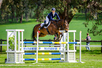SJ  Casotti Family CCI3 Star L
